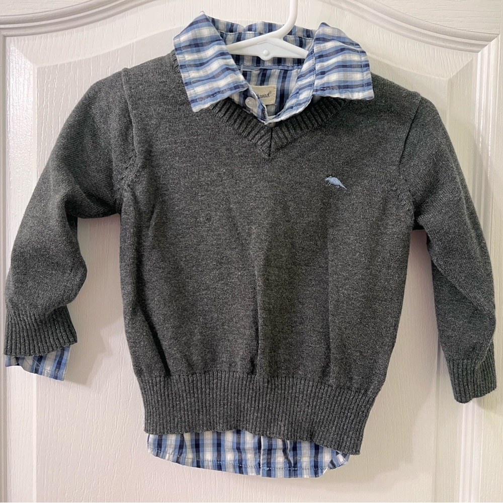 Beetle & Thread Blue Plaid Button Down and Sweater
